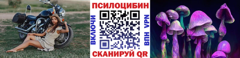 кракен ССЫЛКА Рузаевка Псилоцибиновые грибы Psilocybine cubensis
